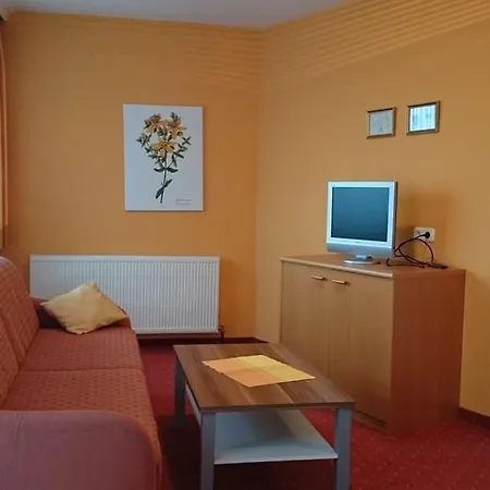 Apartman Apartment Hollersbach Im Pinzgau 2 Hollersbach im Pinzgau